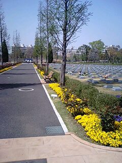 080415_1259~0001.jpg