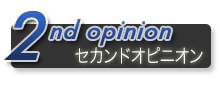 セカンド・オピニオン、スポット相談