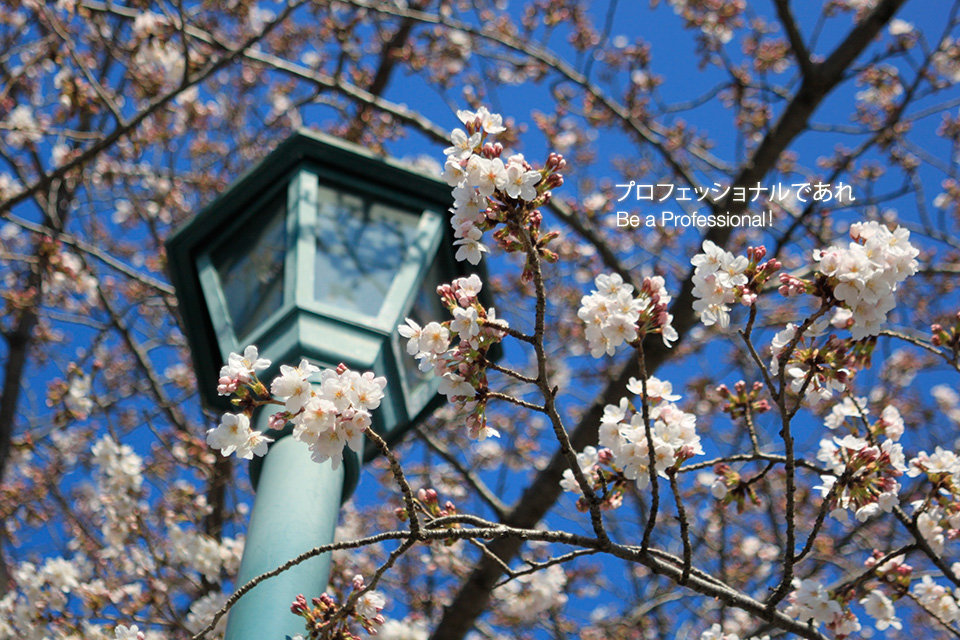 根岸森林公園